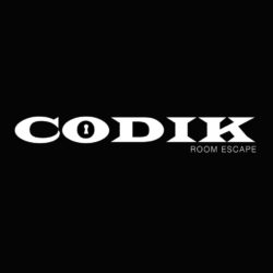 Codik – El proyecto